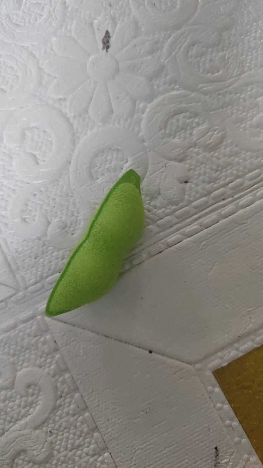 Beans Shaped Bottle Cleaning Sponge Pack of 2 Home Essentials