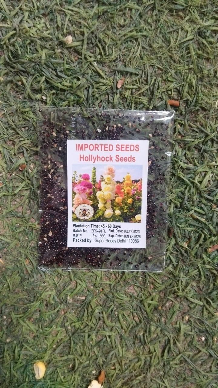 Imported Hollyhock Seeds (Pack of 2) Home Essentials