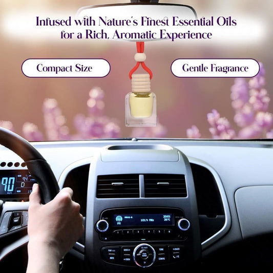 Hanging Car Perfume Pods Diffuser Scent (Assorted Perfume) c&b Accessories