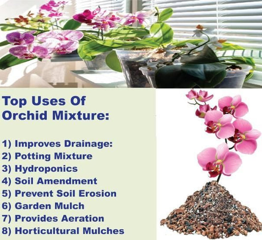 Orchid Potting Mixture - Orchid Plants Ready to Use 350gm