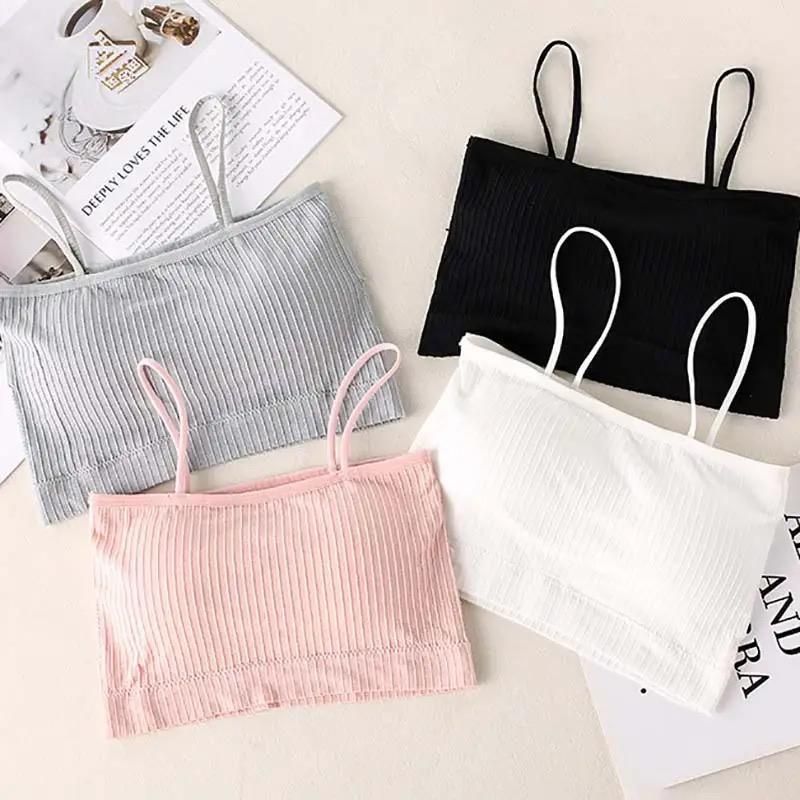 Seamless Silk Padded Bralette Bra Pack of 2 Women Western