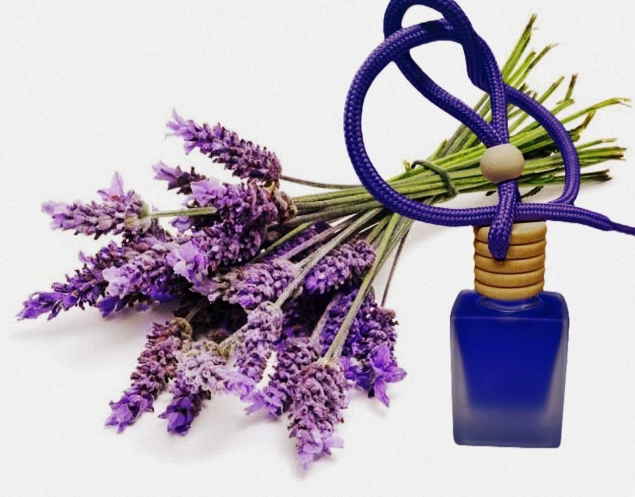 Hanging Car Perfume Pods Diffuser Scent (Assorted Perfume) c&b Accessories