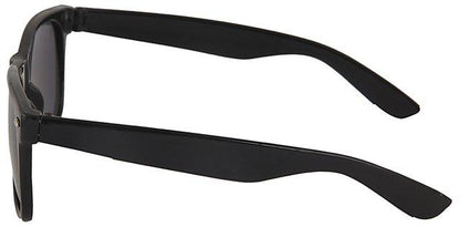 Unisex Clear Black Wayfair Sunglass