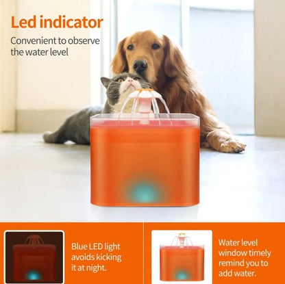 2L Small Pet Water Fountain for Kitten & Small Dogs Home Essentials