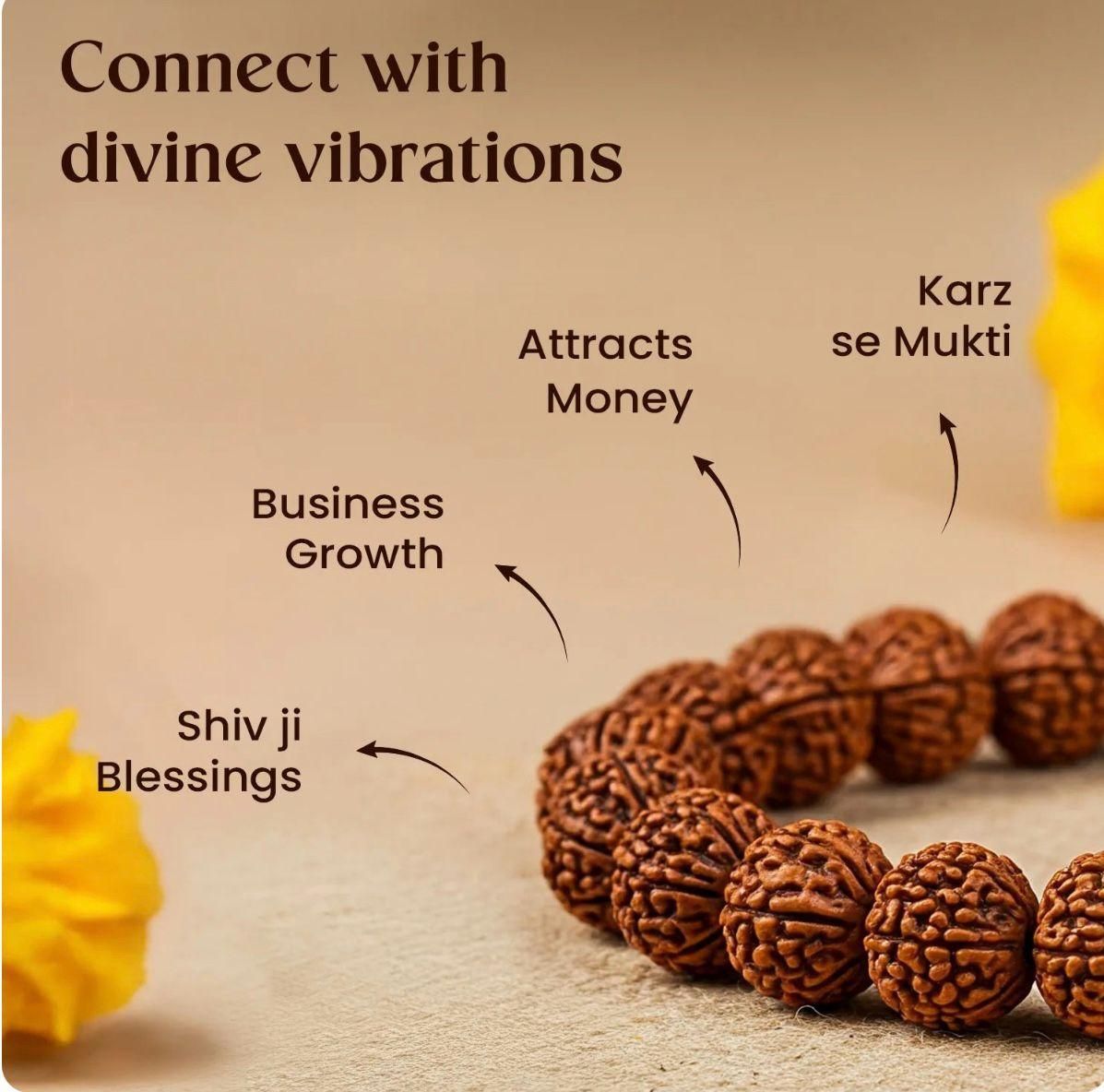 7 Mukhi Rudraksha Bracelet Jewellery