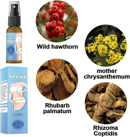 Fat Burner Slimming Spray 30 ml (Pack of 1) Personal Care