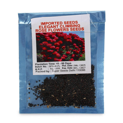 Elegant Climbing Rose Flower Seeds Home Essentials