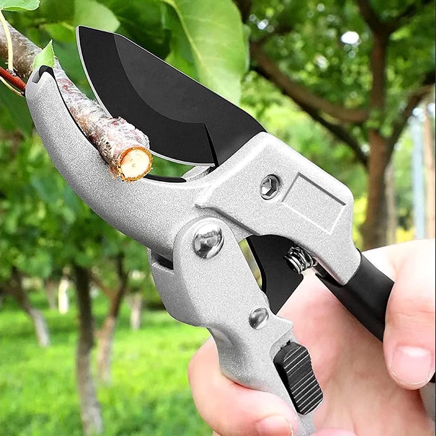 Pruning Shears