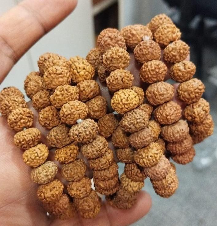 7 Mukhi Rudraksha Bracelet Jewellery