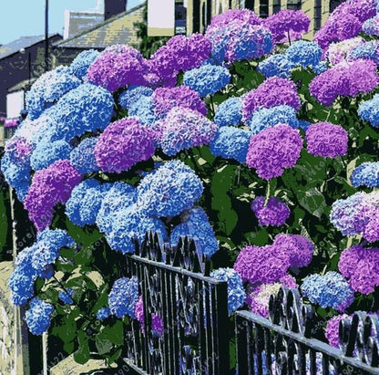 Hydrangea Seed: Unlock Nature's Beauty Home Essentials