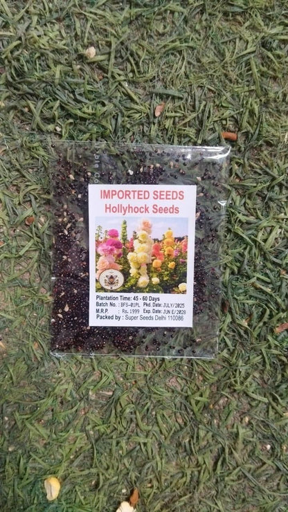 Imported Hollyhock Seeds	(Pack of 2) Home Essentials