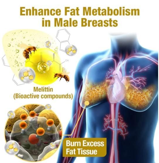 Bee venom Gynecomastia Heating Oil 15 ml (Pack of 2) Gym & Wellness