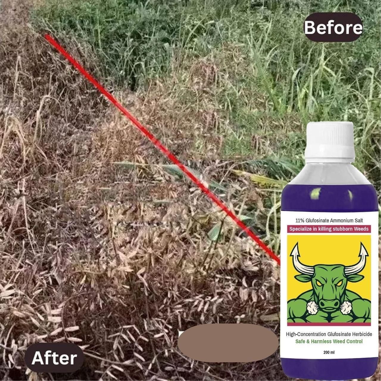 High-Concentration Glufosinate Herbicide All Crops,Organic Home Essentials