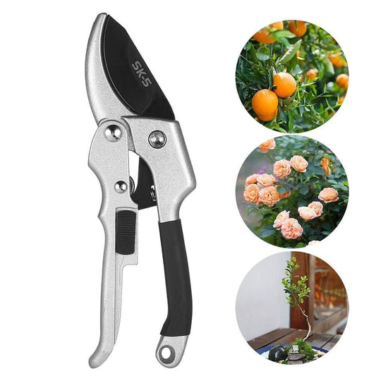Pruning Shears