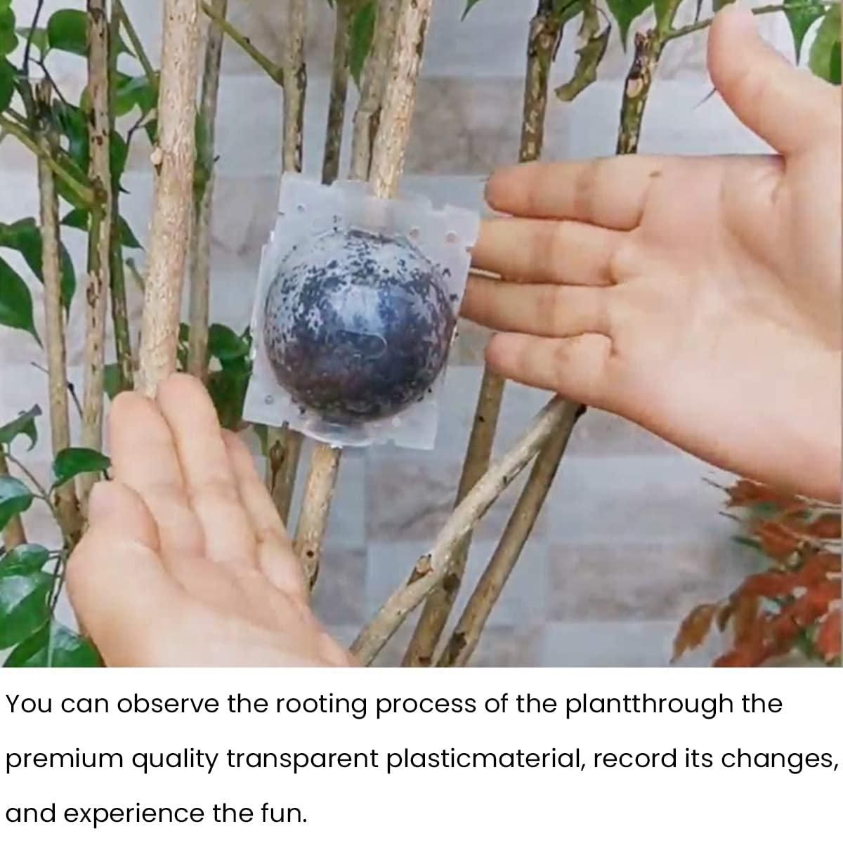 Rooting Balls Pack of 5 with Pot Mix Combo