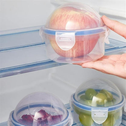 Food Grade Fruit Preservation Box