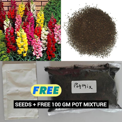 Snapdragon Seeds (Free Pot Mixture 100 gm)