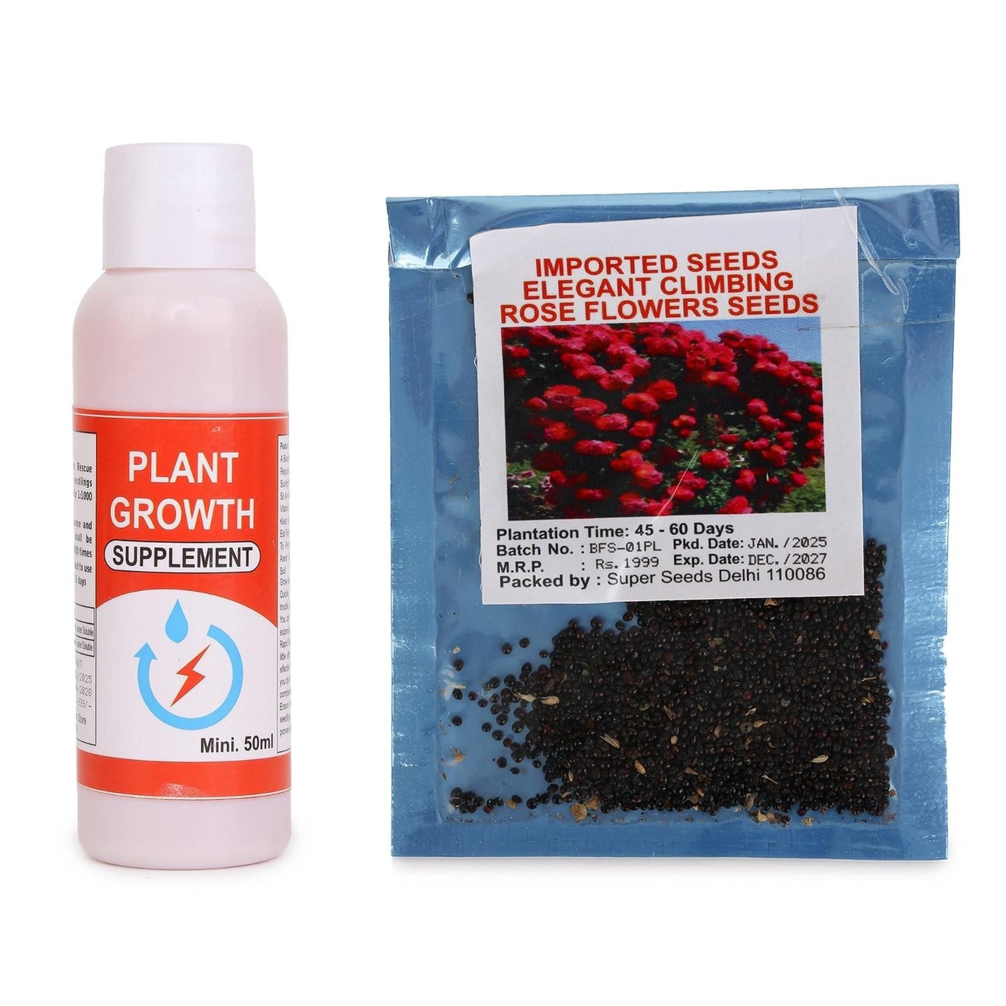 Elegant Climbing Rose Flower Seeds Home Essentials