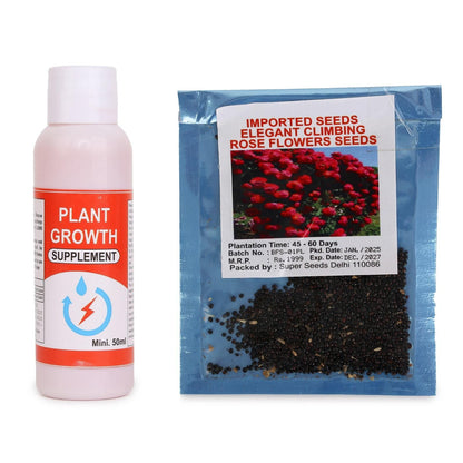 Elegant Climbing Rose Flower Seeds Home Essentials