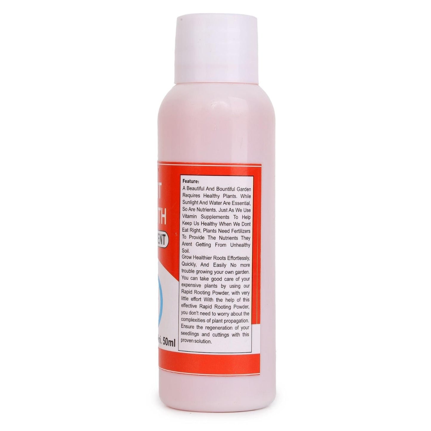 Elegant Climbing Rose Flower Seeds Home Essentials