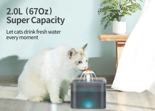 2L Small Pet Water Fountain for Kitten & Small Dogs Home Essentials