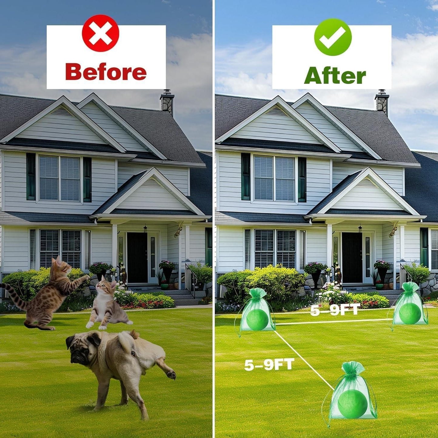 Cat Repellent 10 Pcs Home Essentials